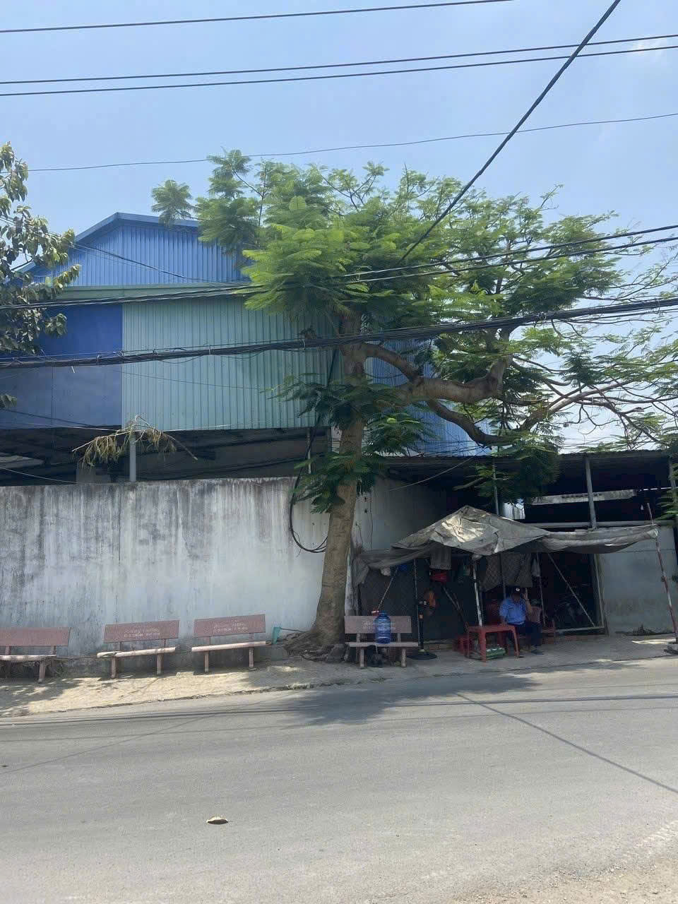 z7293494892829_bf827d4a00167d362ee02de892372c6f