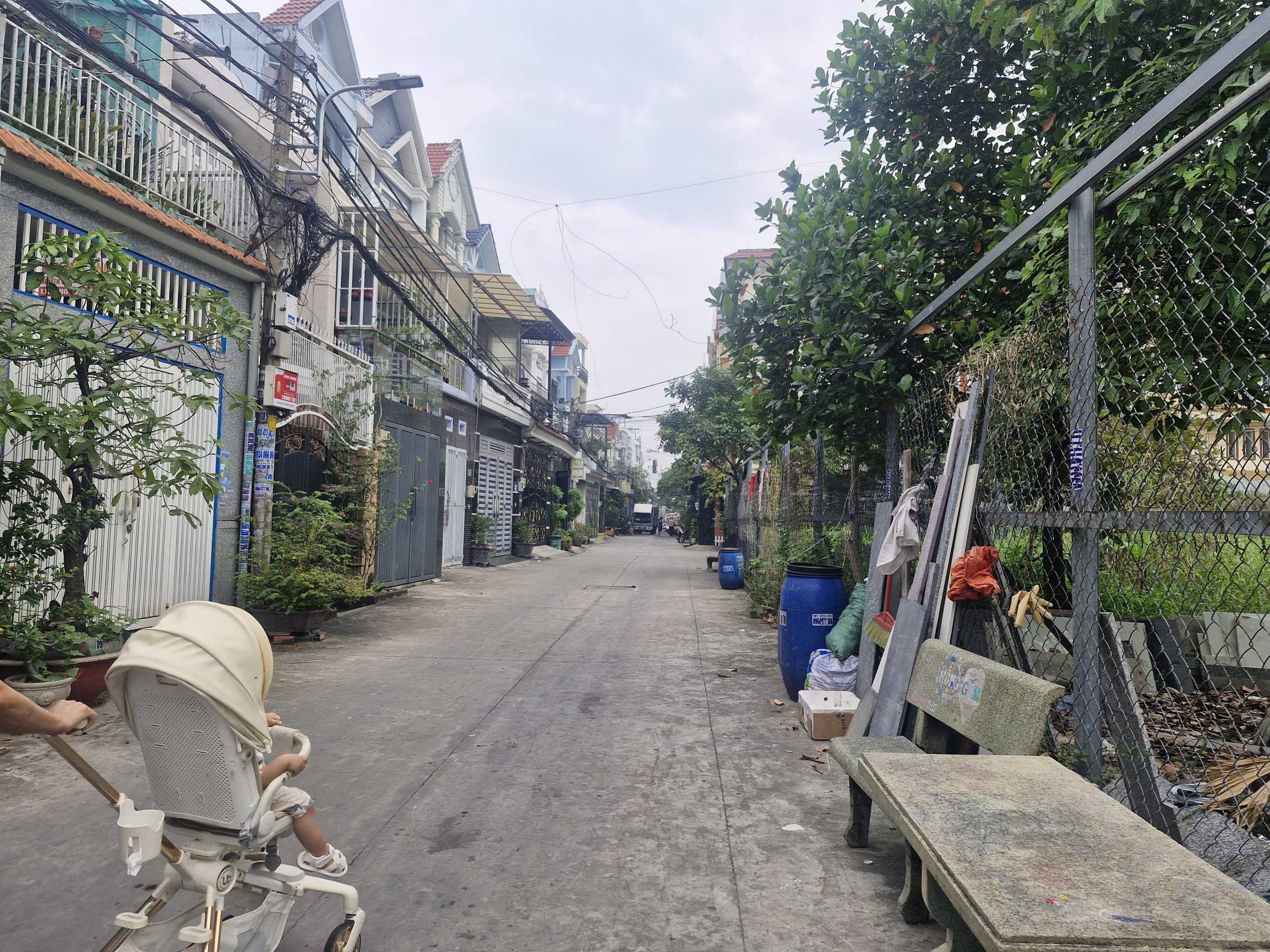 z7293795354910_6481bbc8667c5313166f45c17c3edca4