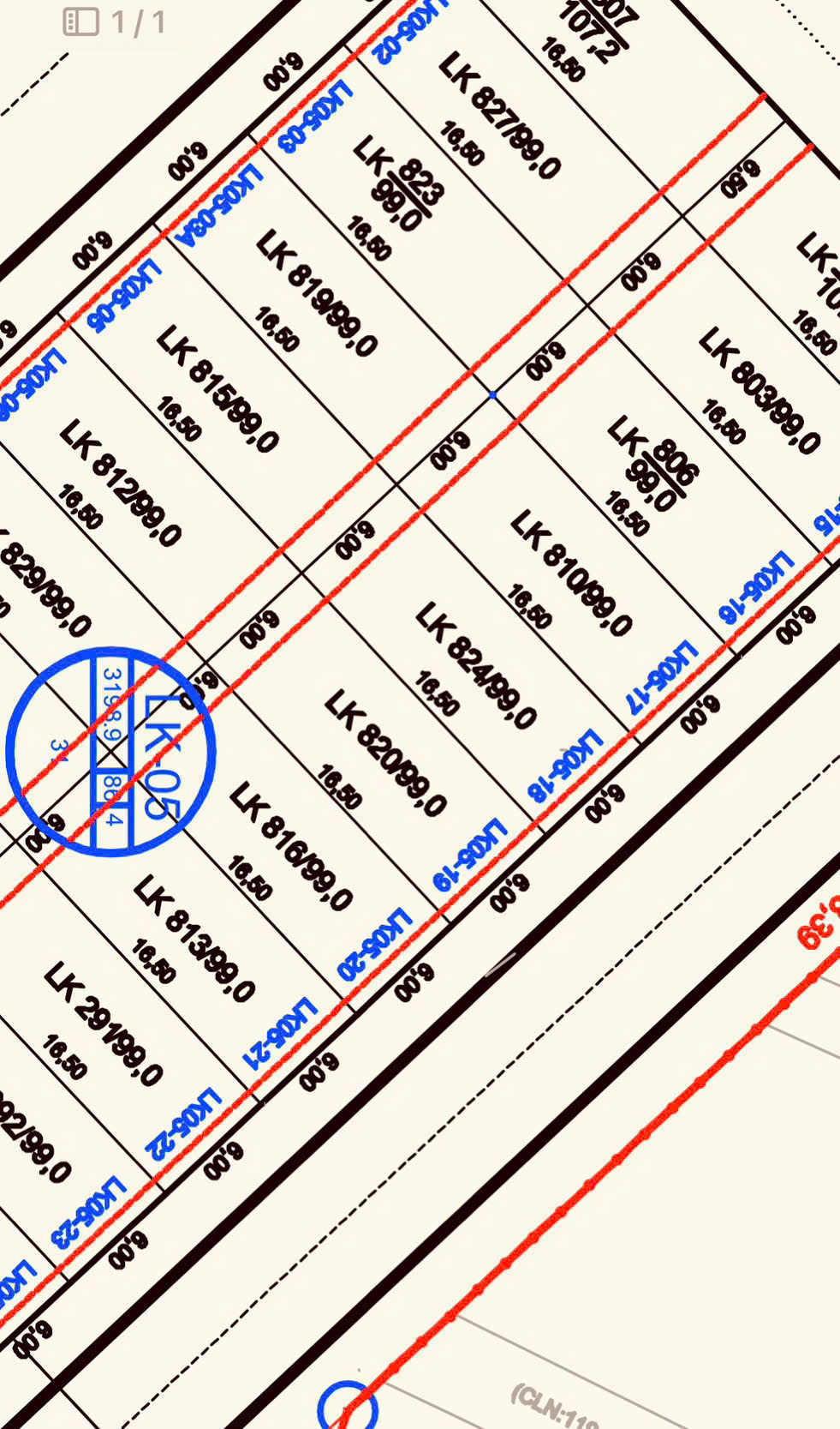 z7295170996028_b41e12fcb8ae25b2881bf37a0ca13da5