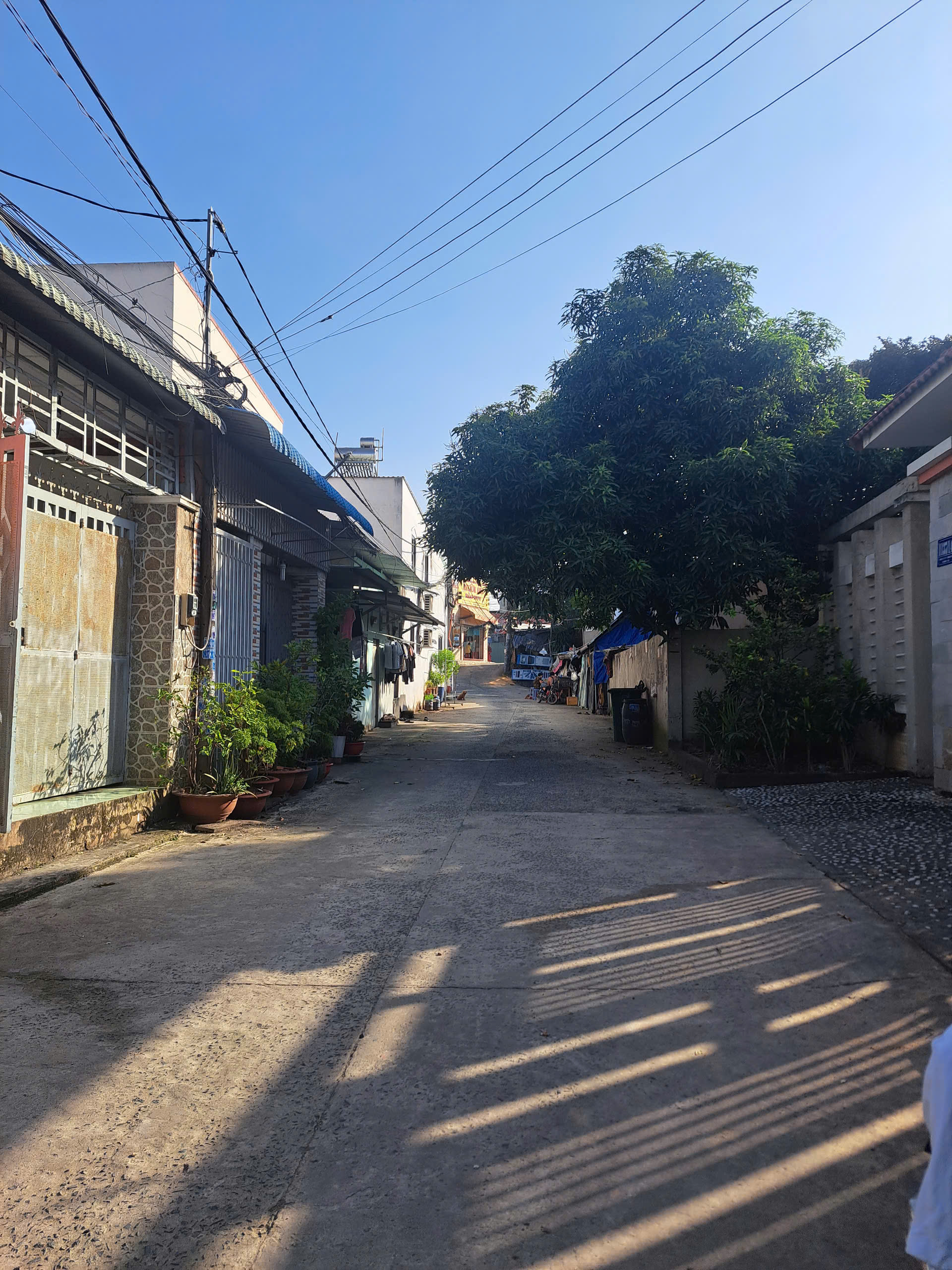 z7301710444662_f1b7b3887bc66d4bca25cd3f9811fe2f