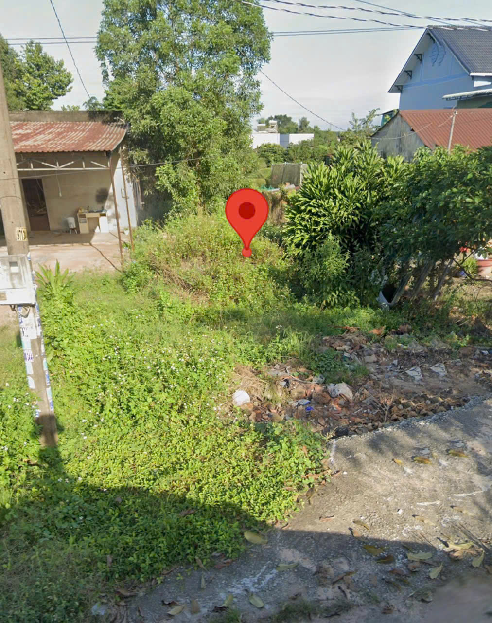 z7302613352324_fb54eeb2647551b42a4dc595f3892ecc