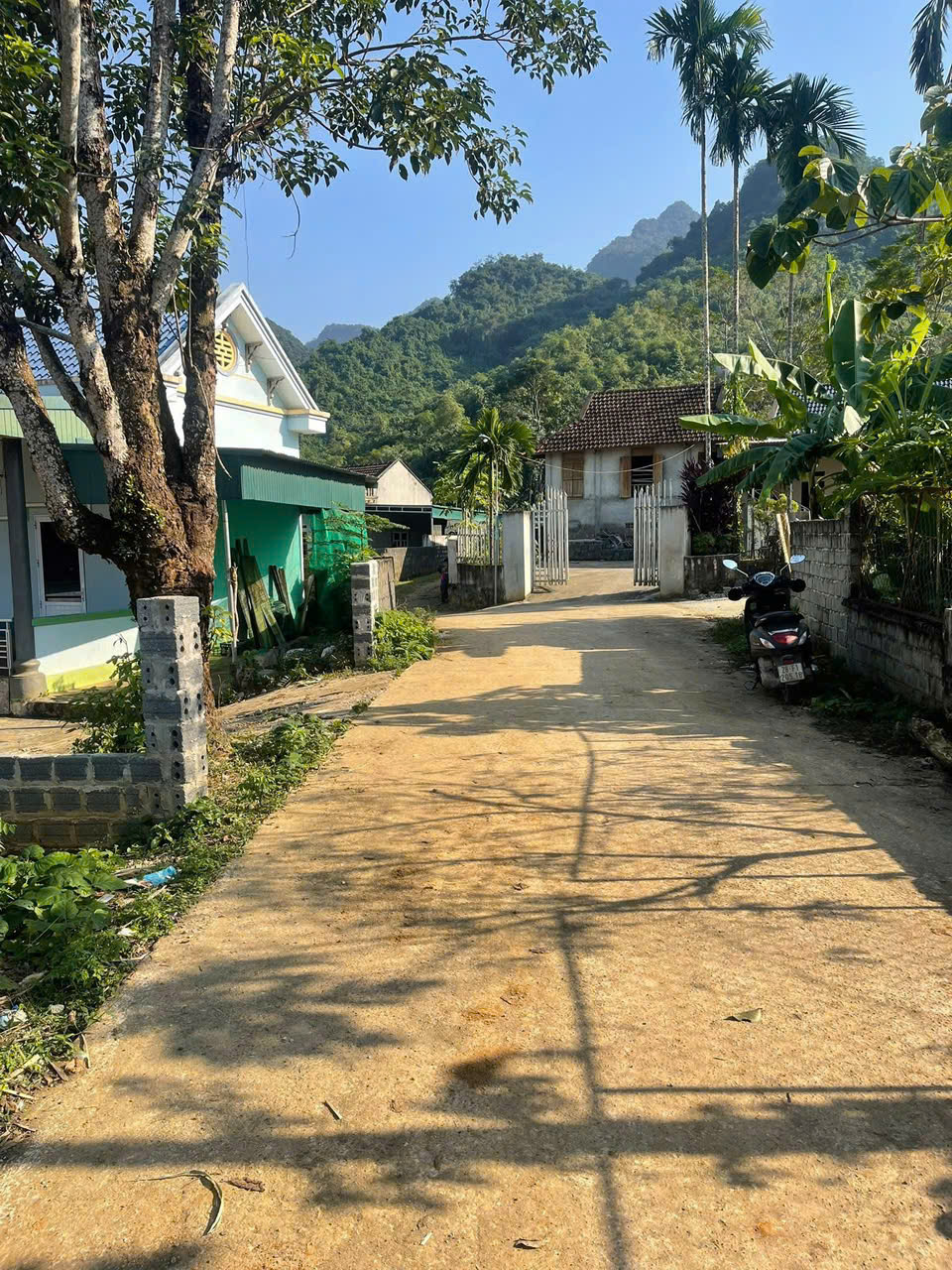 z7303898362236_94b0cc53e335c361a22d8bc0e535e4bf