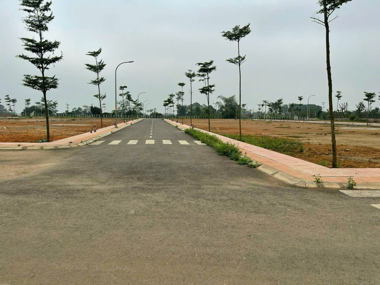 z7304180702676_9d687b37b5973ca99c92a5aaab16d644