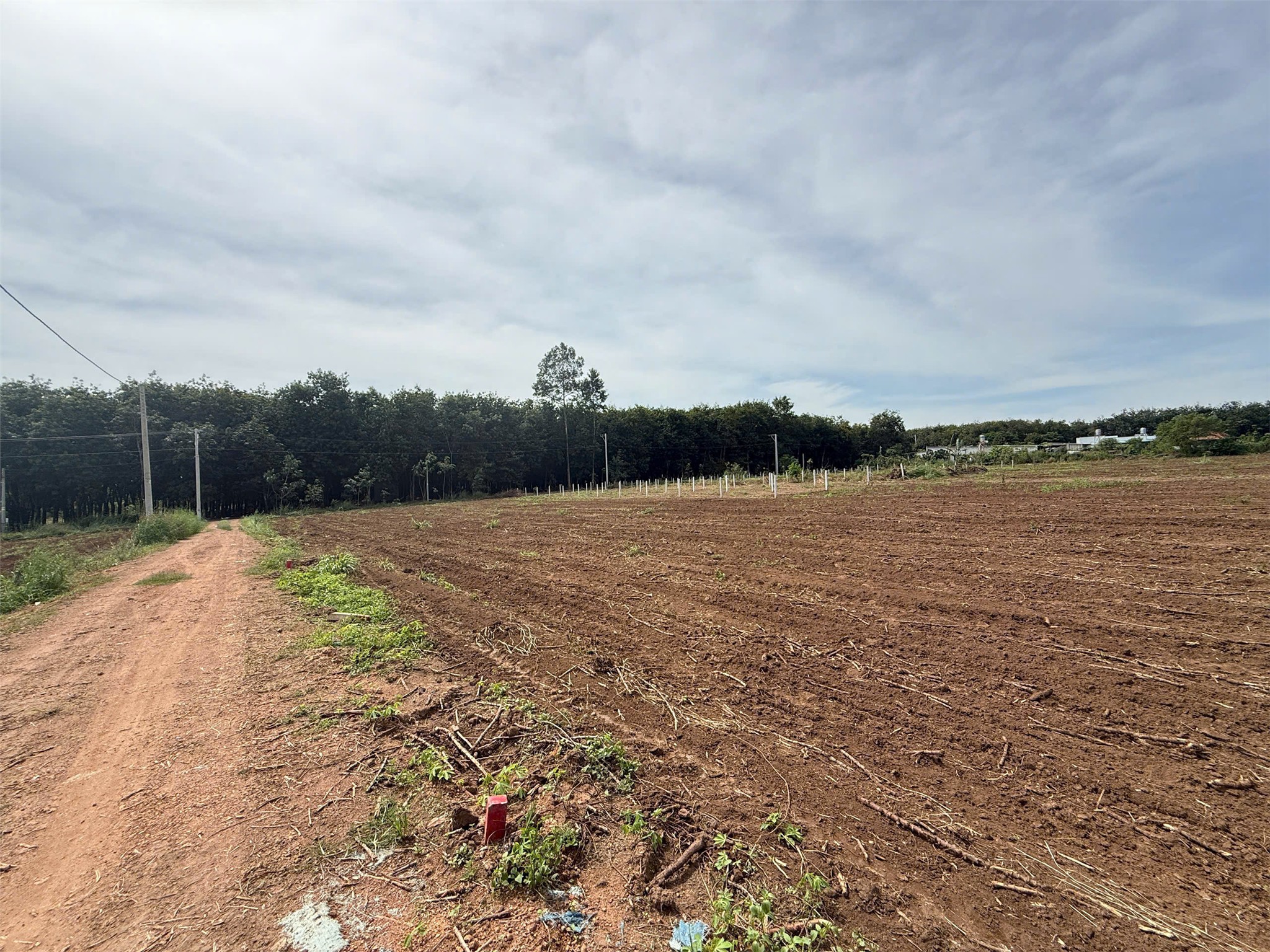 z7304405889340_e77f577b54adebf39f19c16f5b6bb95b