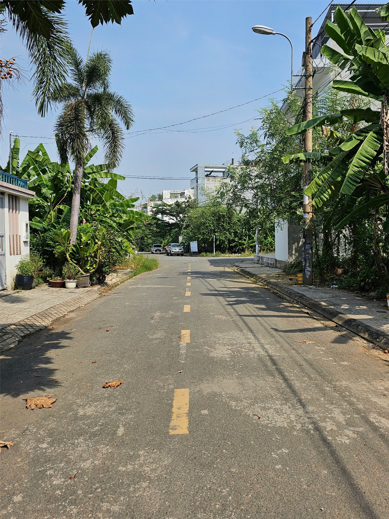 z7304666662581_82962704386e844cc355e7a753e28771