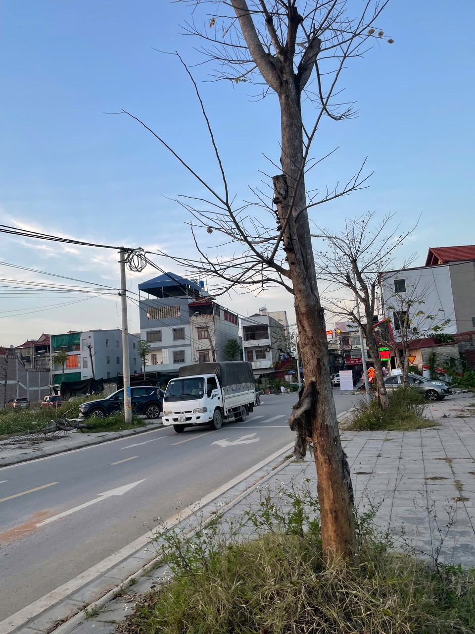 z7308717496133_c3233a39f5f7e167642eee4441820fe9