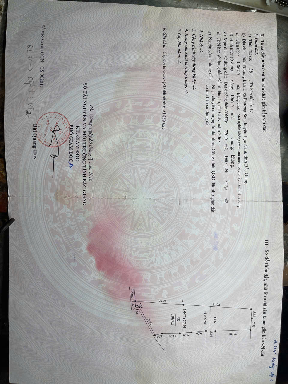 z7308717555051_da6d25136dd909f4dcc8e1eb161e6669