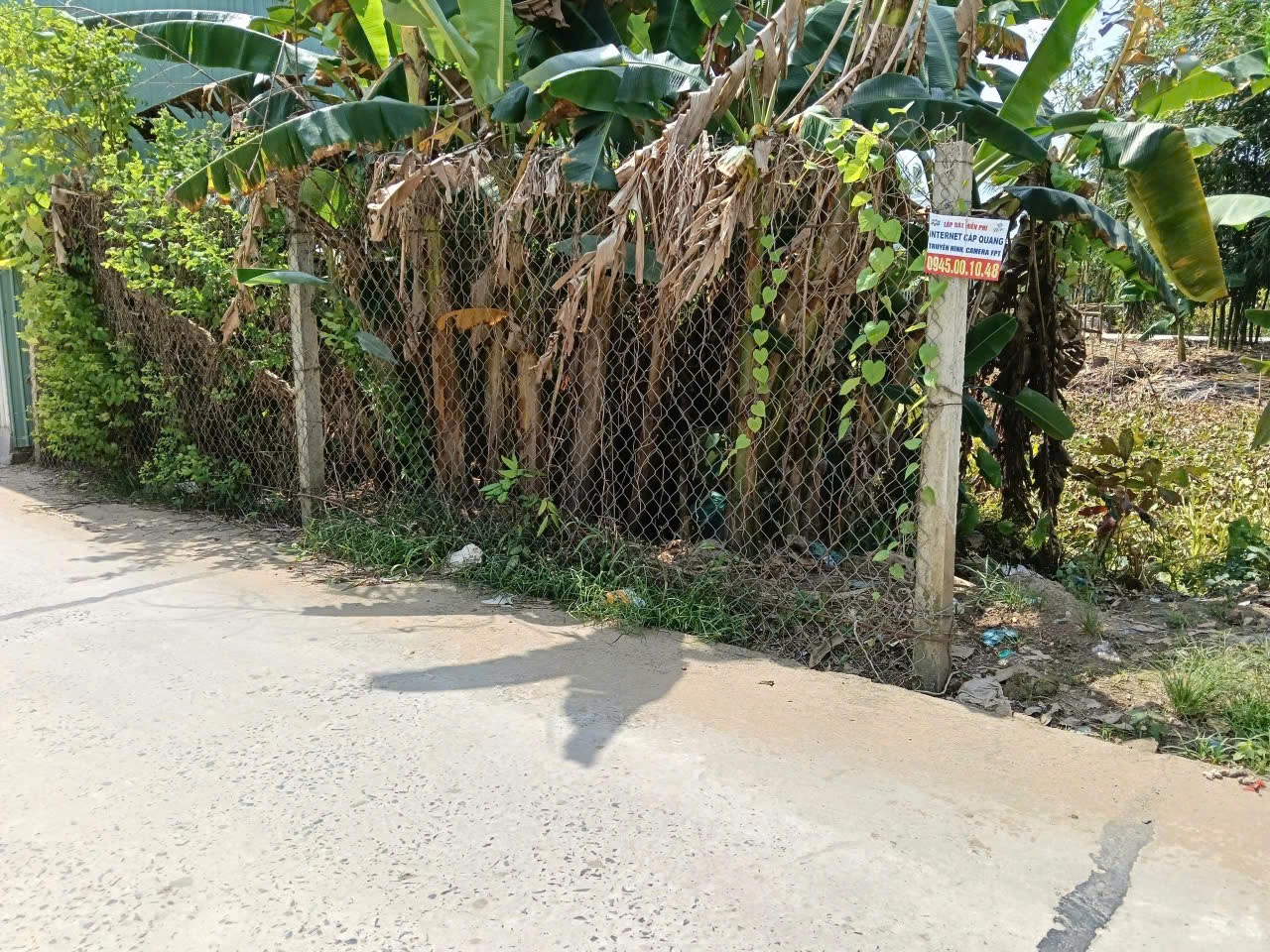 z7308998516825_168bf6172258a1db63c88c4a2da85754