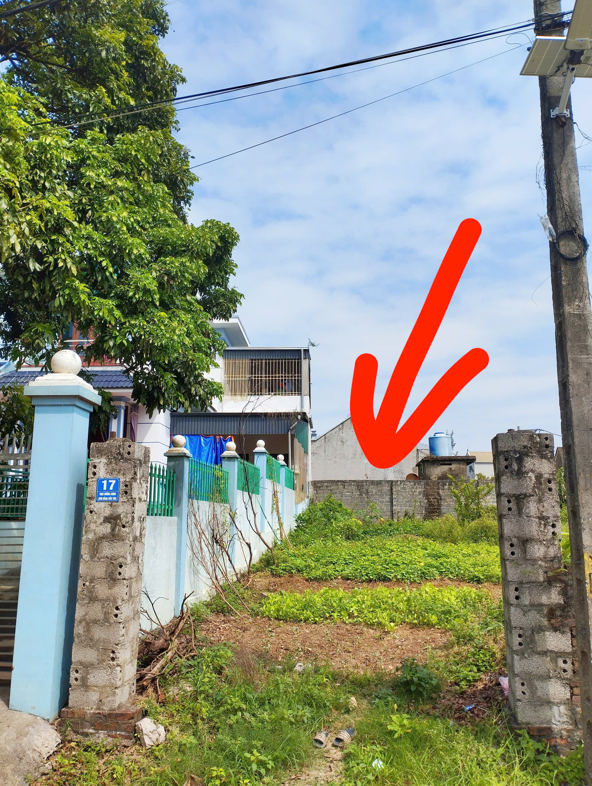 z7309154156675_a08b9a3ca47170fb899cee5ee9bd053f