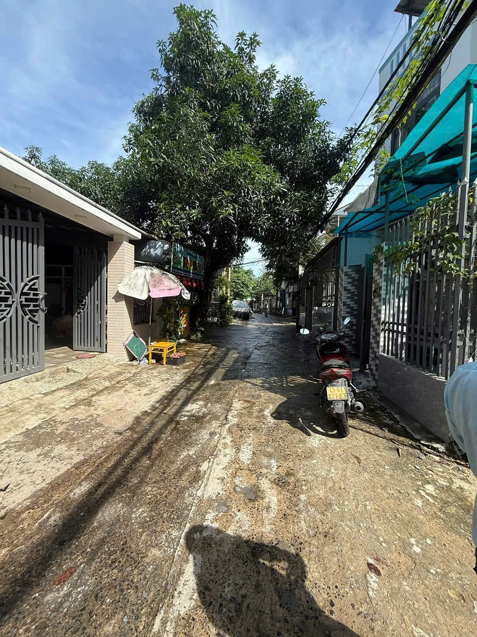 z7312087248843_b282527cb3b8a0c4193705856ab65d8e