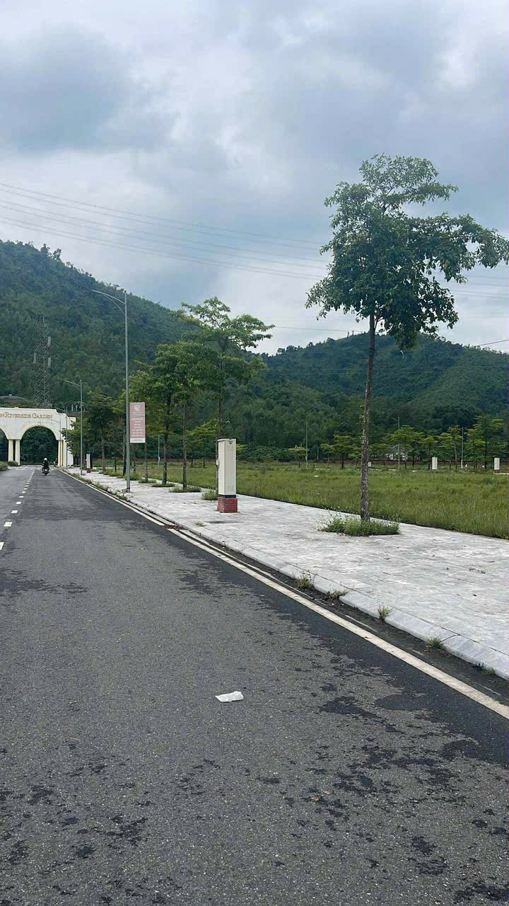 z7312186812625_ce73caa5cceca127ae44d76988e5a50f