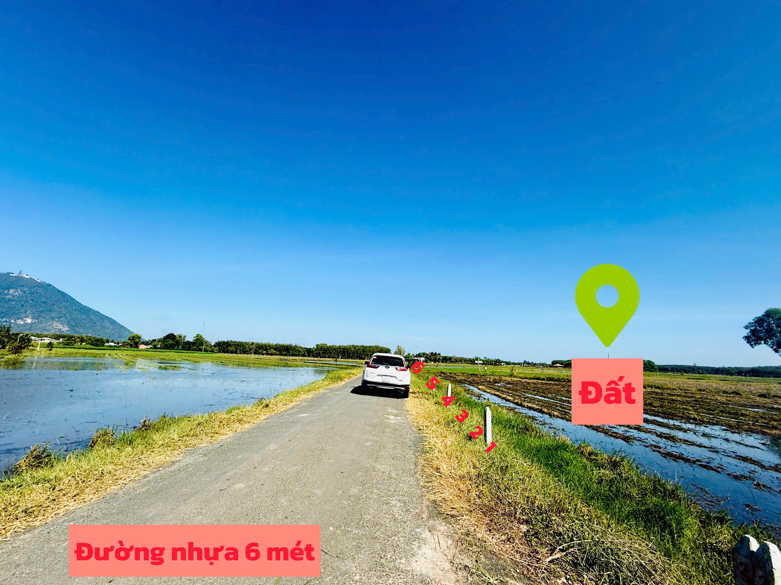 z7312686402635_82856f14f2511713c976da87f9494638