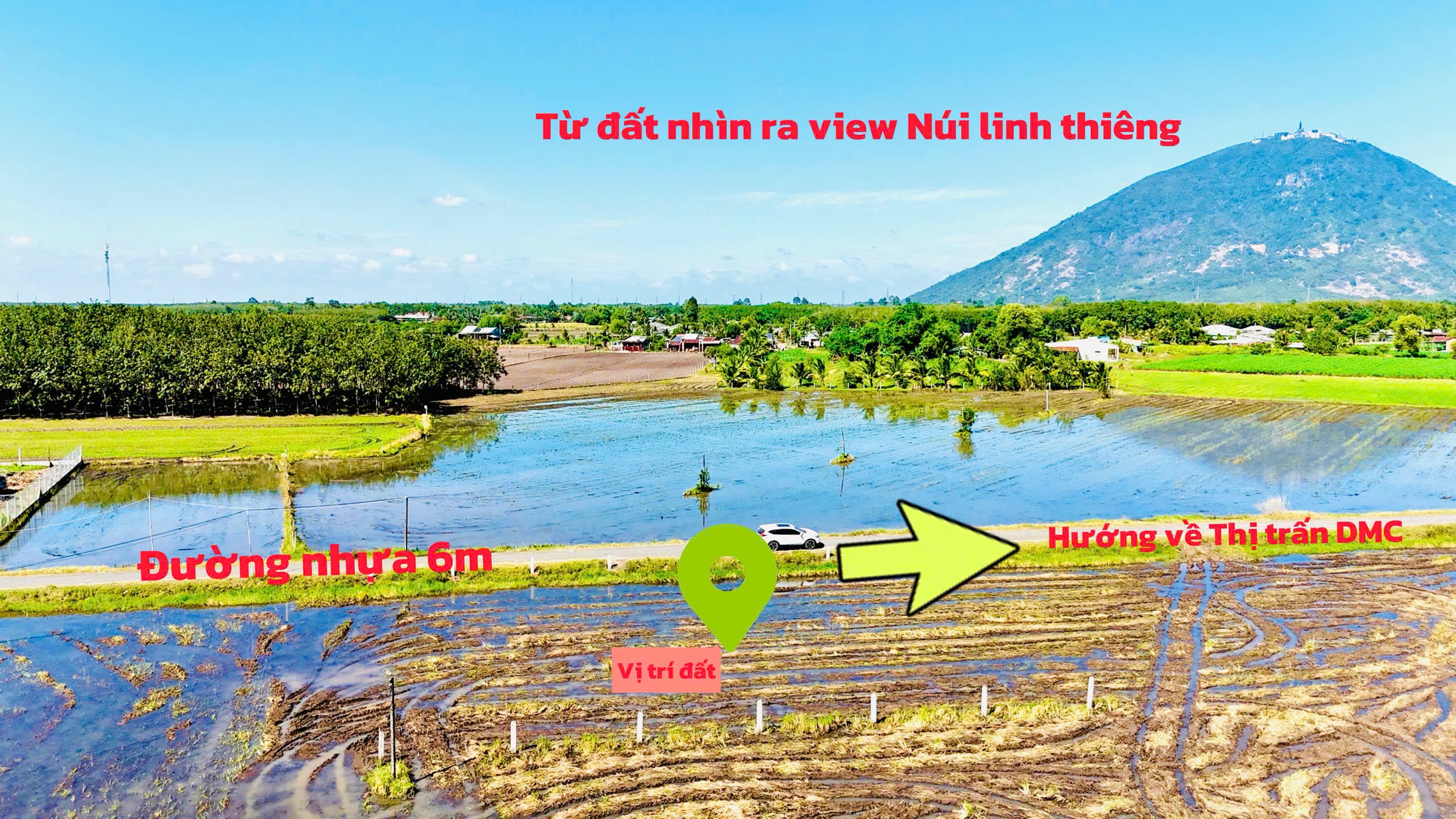 z7312686407136_173dfcb9357877e4d08f1705de93b542