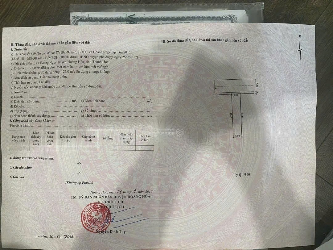 z7314874837960_392ef25701af208e57514619a08f5c0b