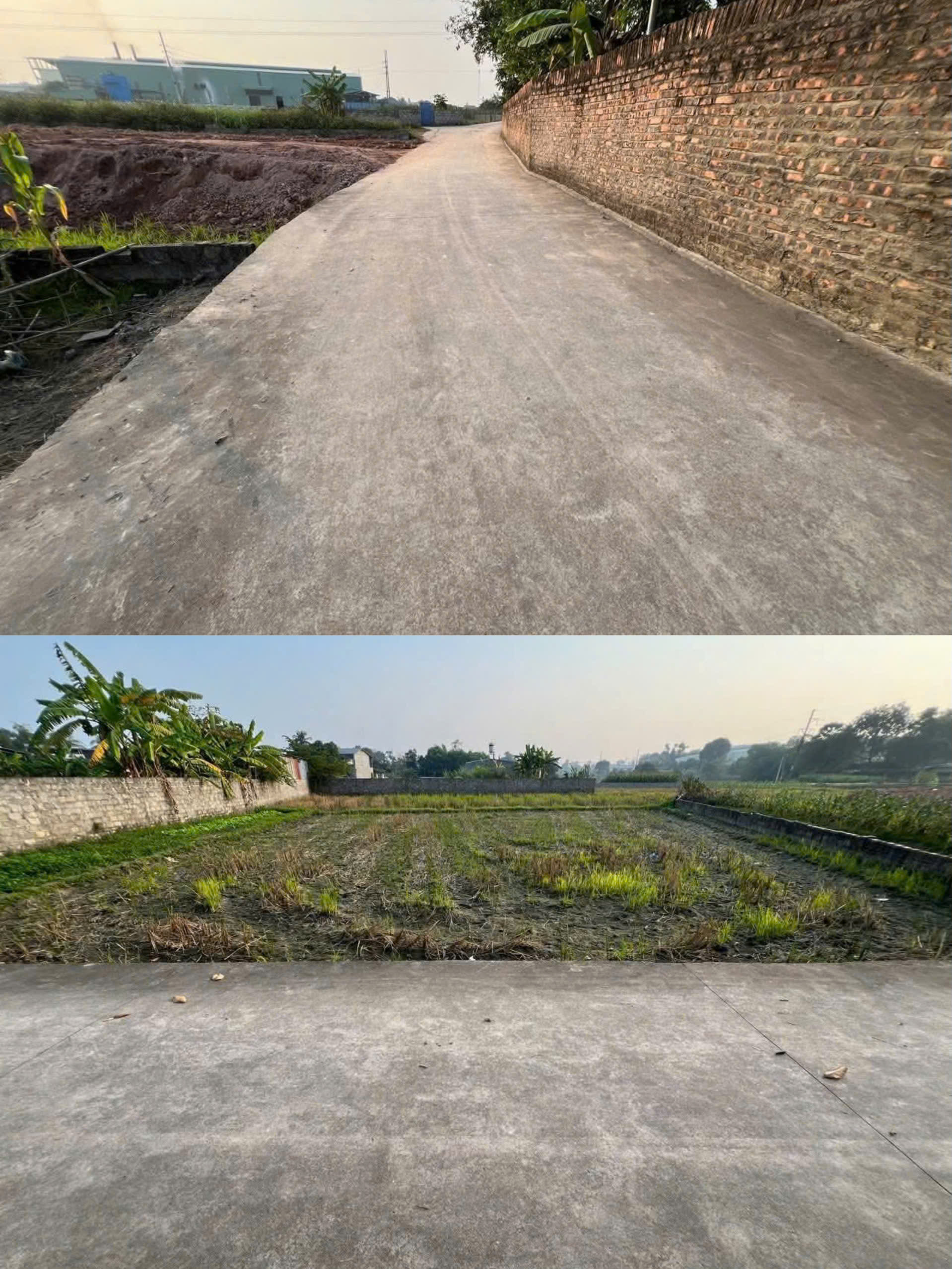 z7315447074553_dabc0faf89de81469544b1f08af345a4