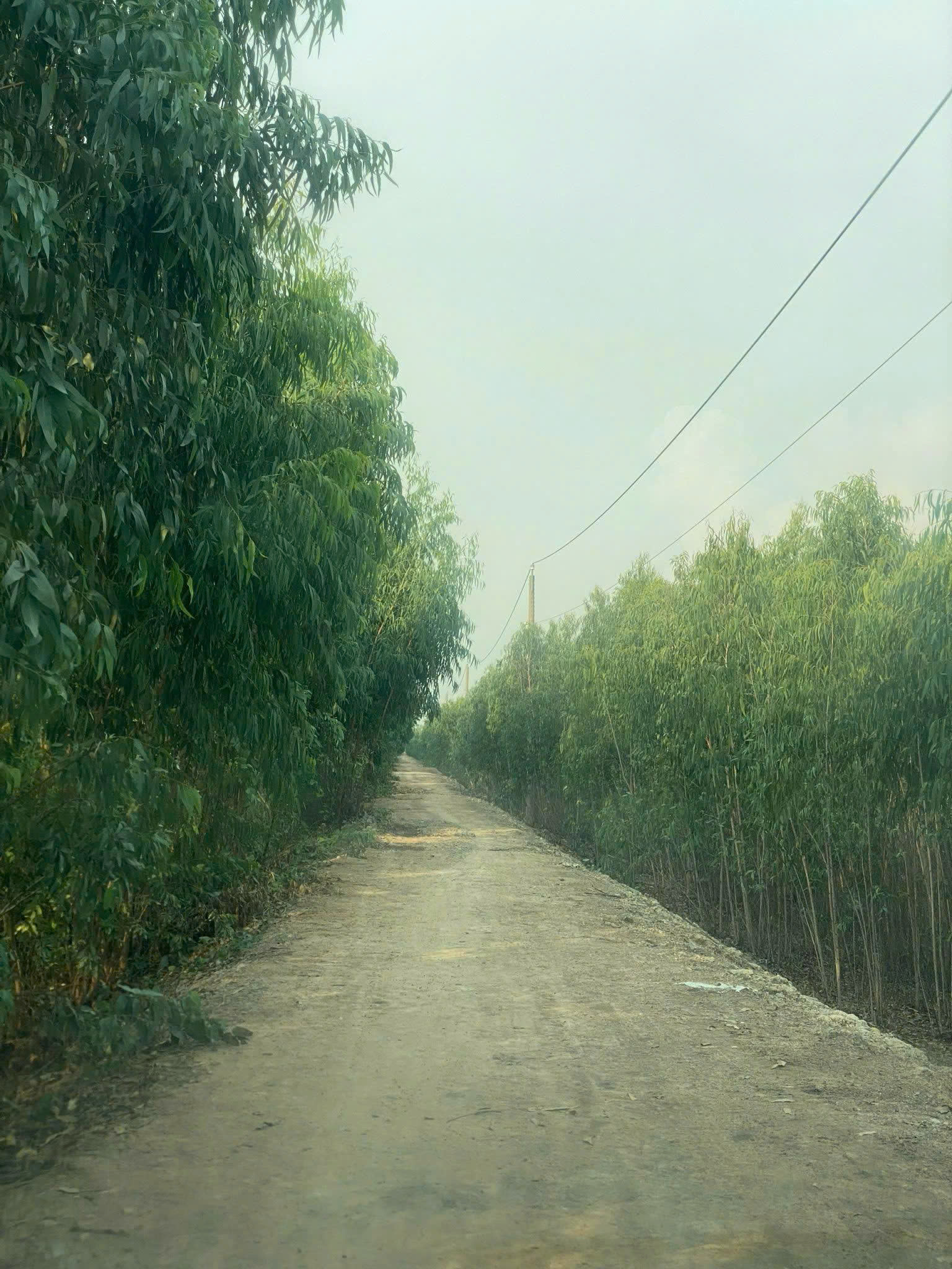 z7315562535880_6fb45554629e7d2287adbde257ad02db