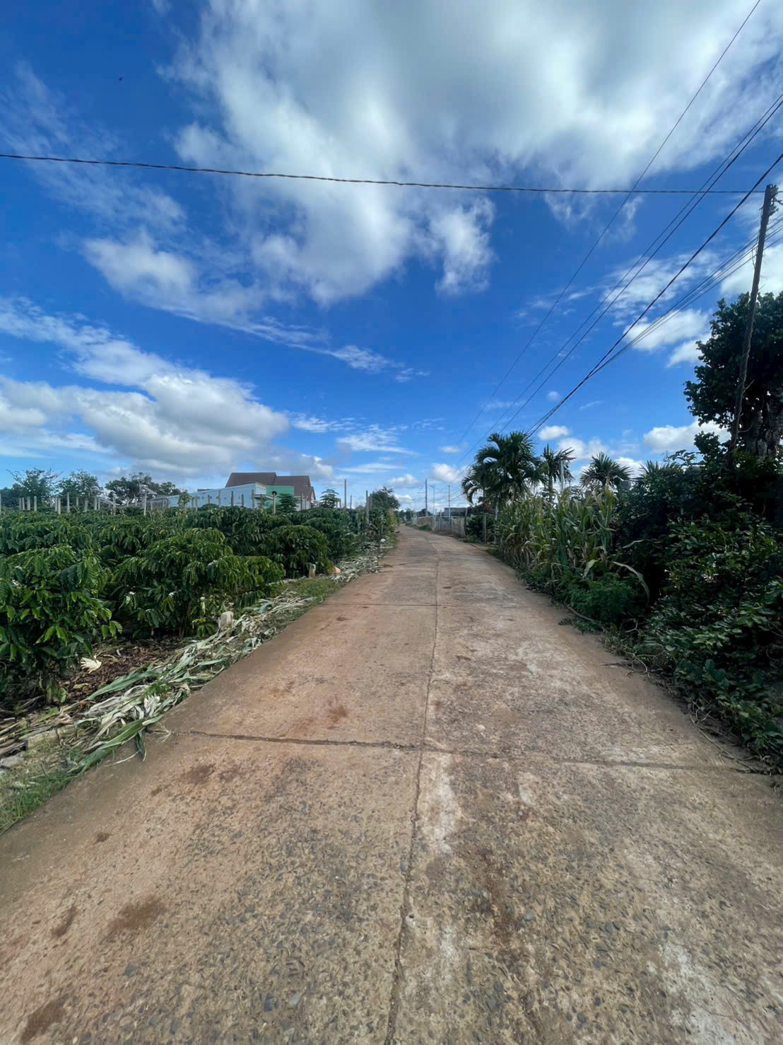 z7317330395600_4f4e4eee5a678f19f1a5a0f1f29c1160