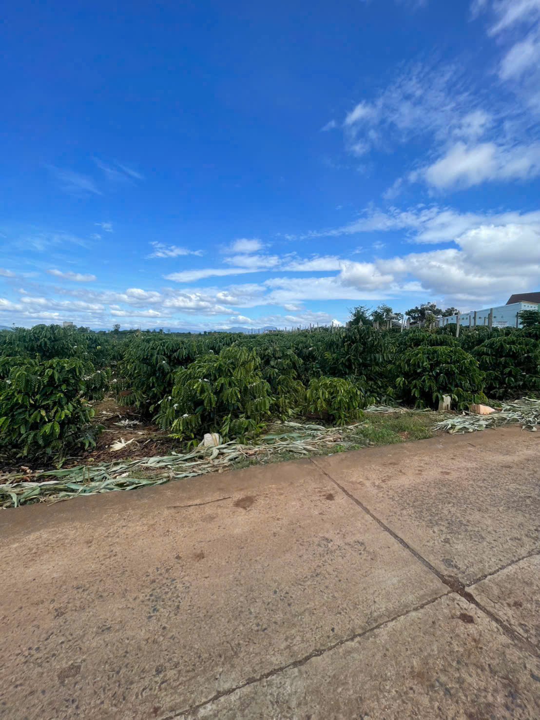 z7317330418516_4d4ad31e5cb5f4f23138167728a260ac