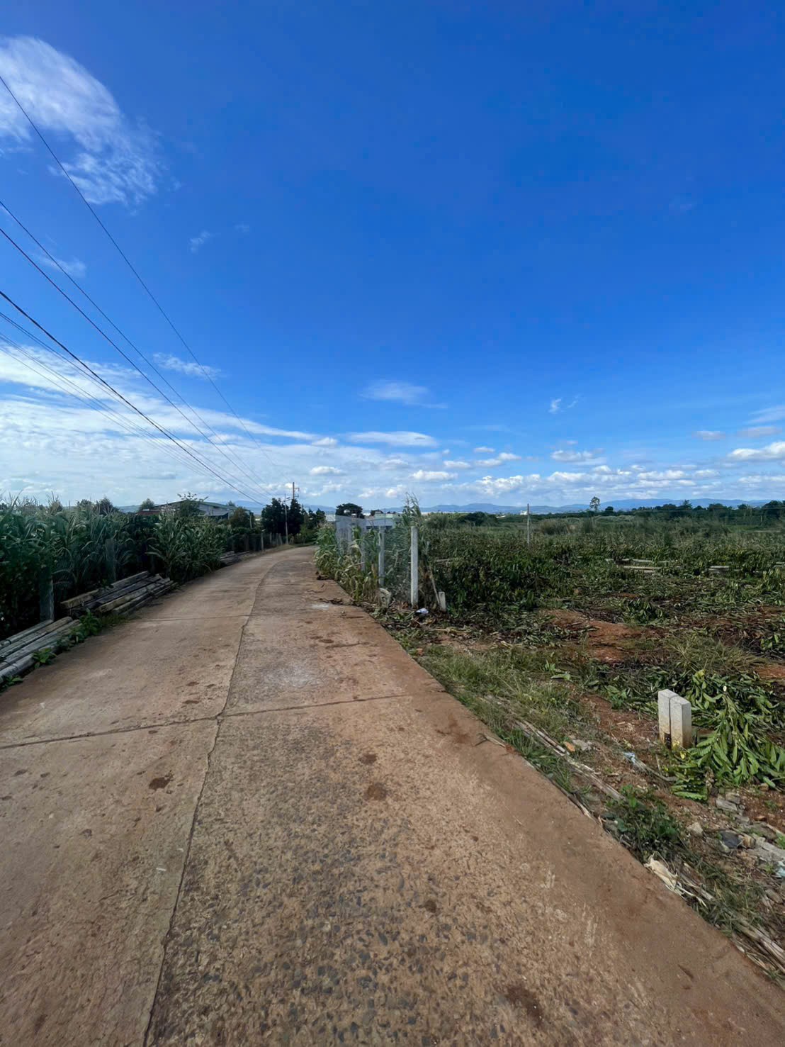 z7317330420789_2c997657aea2cabee1672ac4c0e5feed