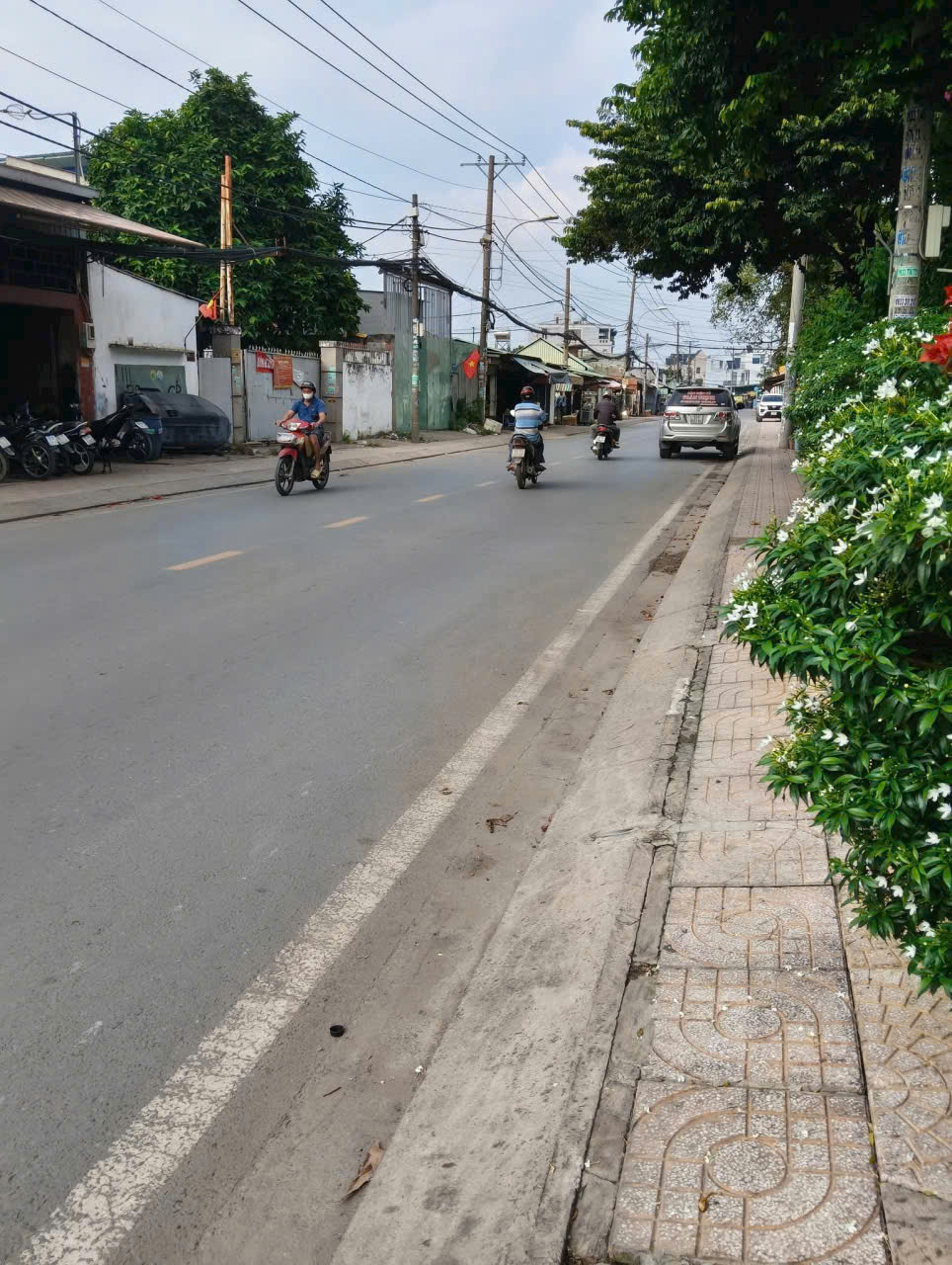 z7317999009488_628e474d3a96fd2af99a0f95885e12a5