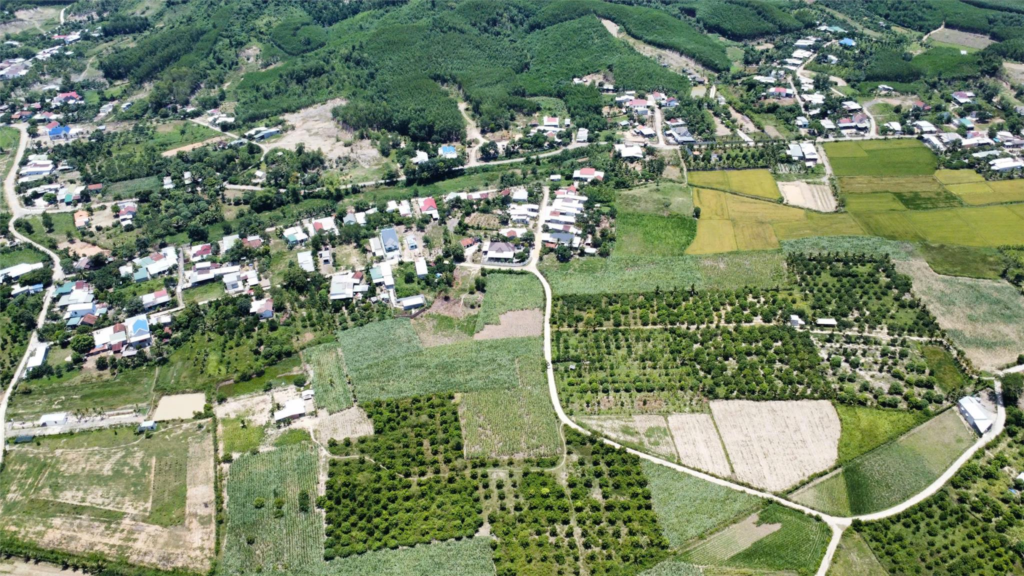 z7318679792248_3766c5eda8b57cba2c65cf2f6d1c4b1a.jpg_bak_639011393369900670