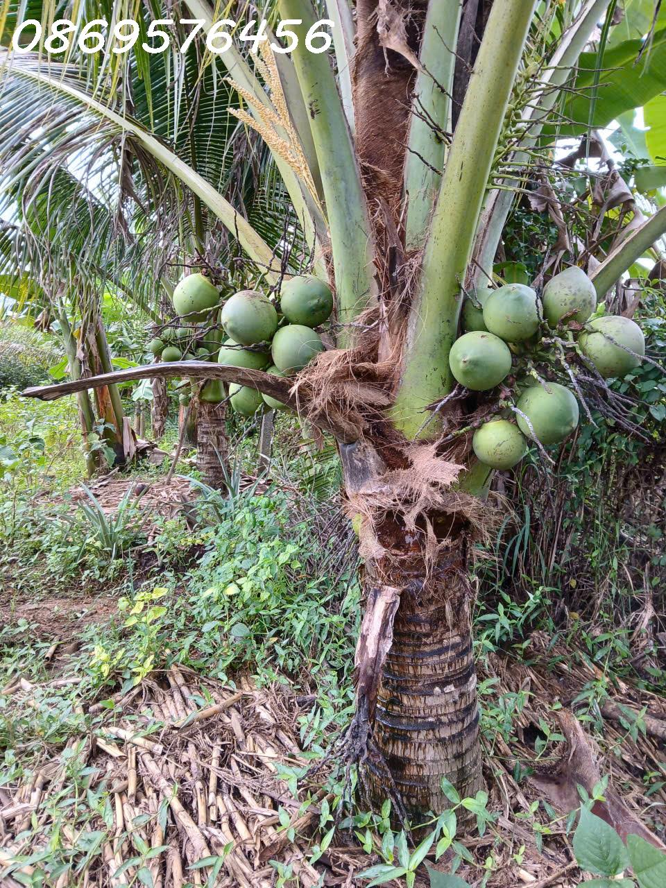 z7318878800574_60287128a784111ab1fe88561879fd83