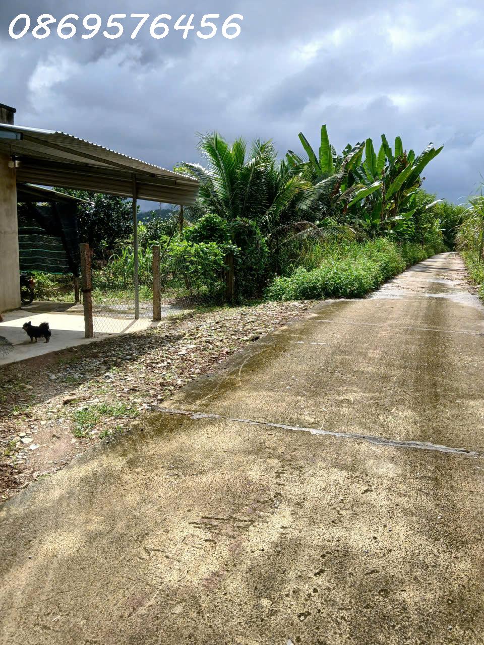 z7318878806089_6c76d0a865f178412f7a96c1405ca4f4