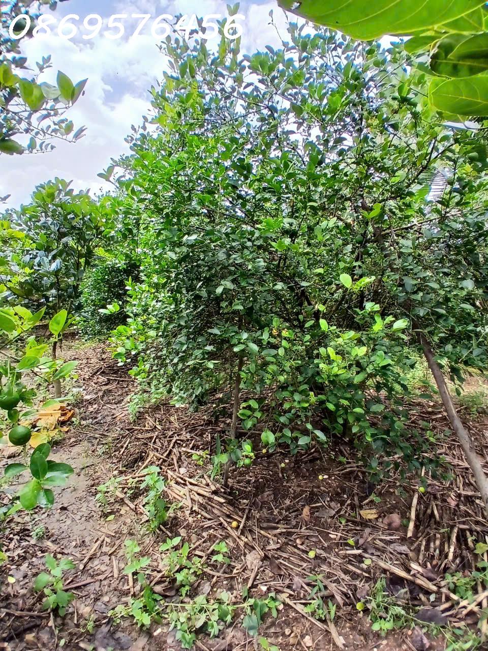 z7318878810084_f0a3315add61667819f4109d483195d9