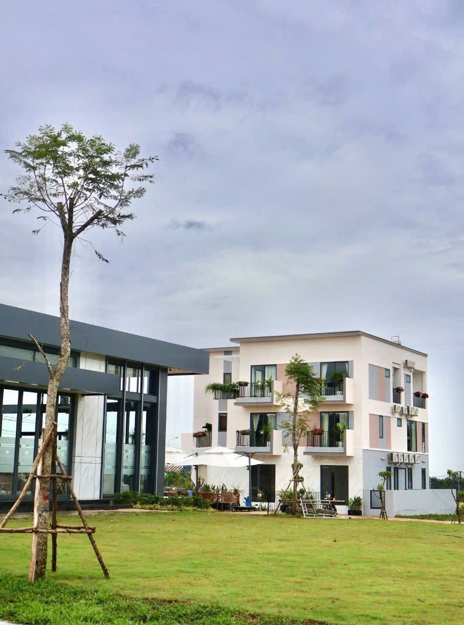 z7319844023488_22809222ca4bc7a12948d5fb93fcf88b