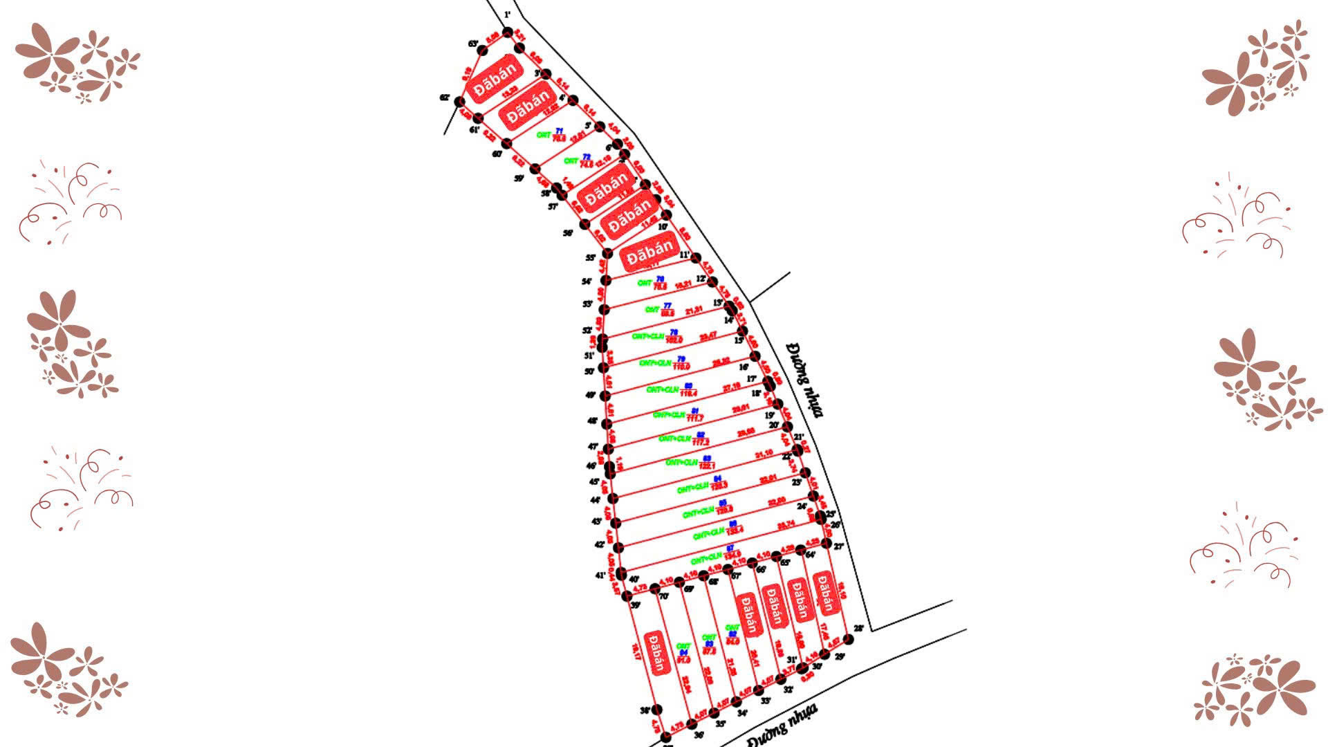 z7321699437083_d2ee1fc7d766badcd7cb3aace1ddd632