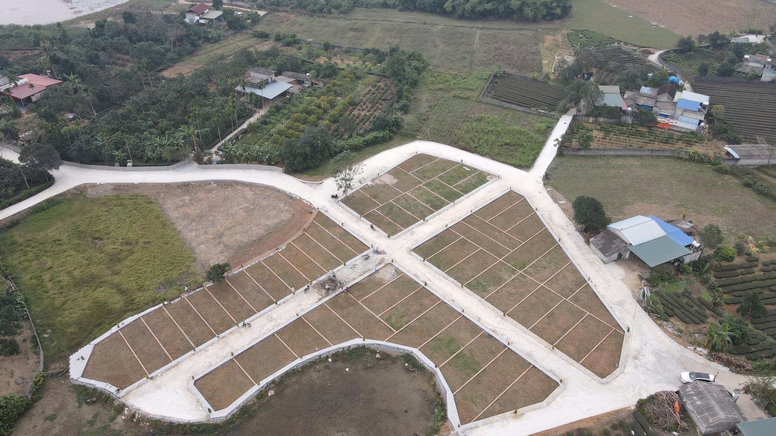 z7321950845262_61cd58e9c523cae684e734dc71a3e1cc