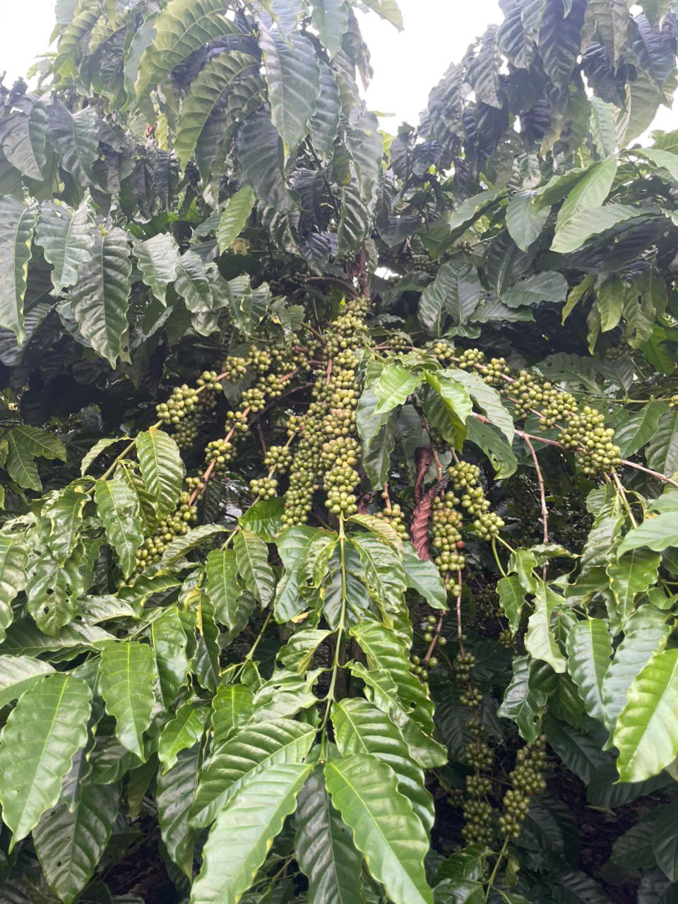 z7322108627742_8e5d5e3545aef62745607ddce072d46c