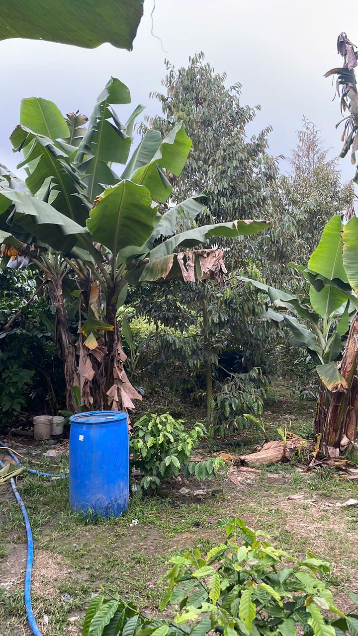 z7322108635593_fd58cb3e52af8a91e50b32dc7fe898c3