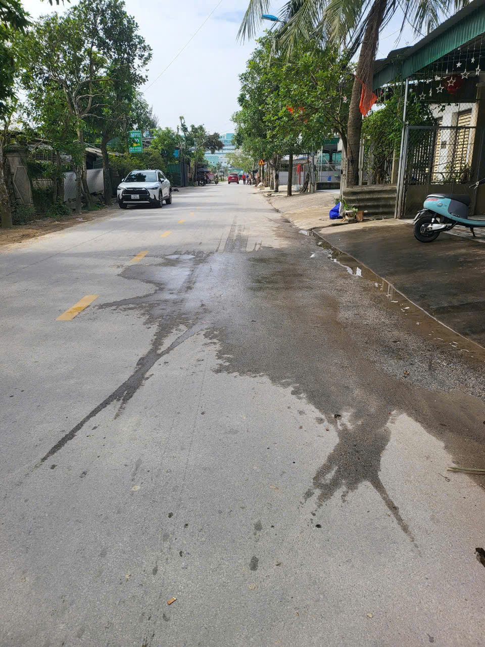 z7325150766330_61bcef3d867771fa28dfb8613995509b