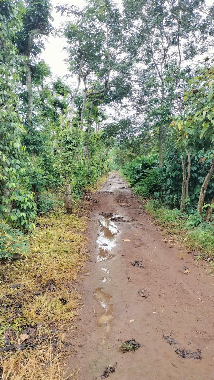 z7325432384425_559057c5fdae6f178d786863ecbcdfcd