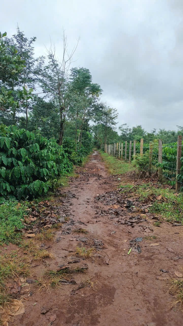 z7325432388622_041a76200fb221b51754656e972218cf