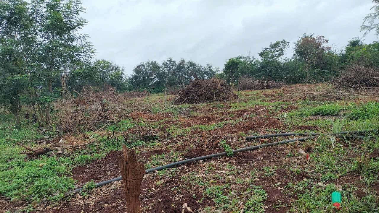 z7325432390254_63e2c4eb5f35523e8320d9a407a54ff4