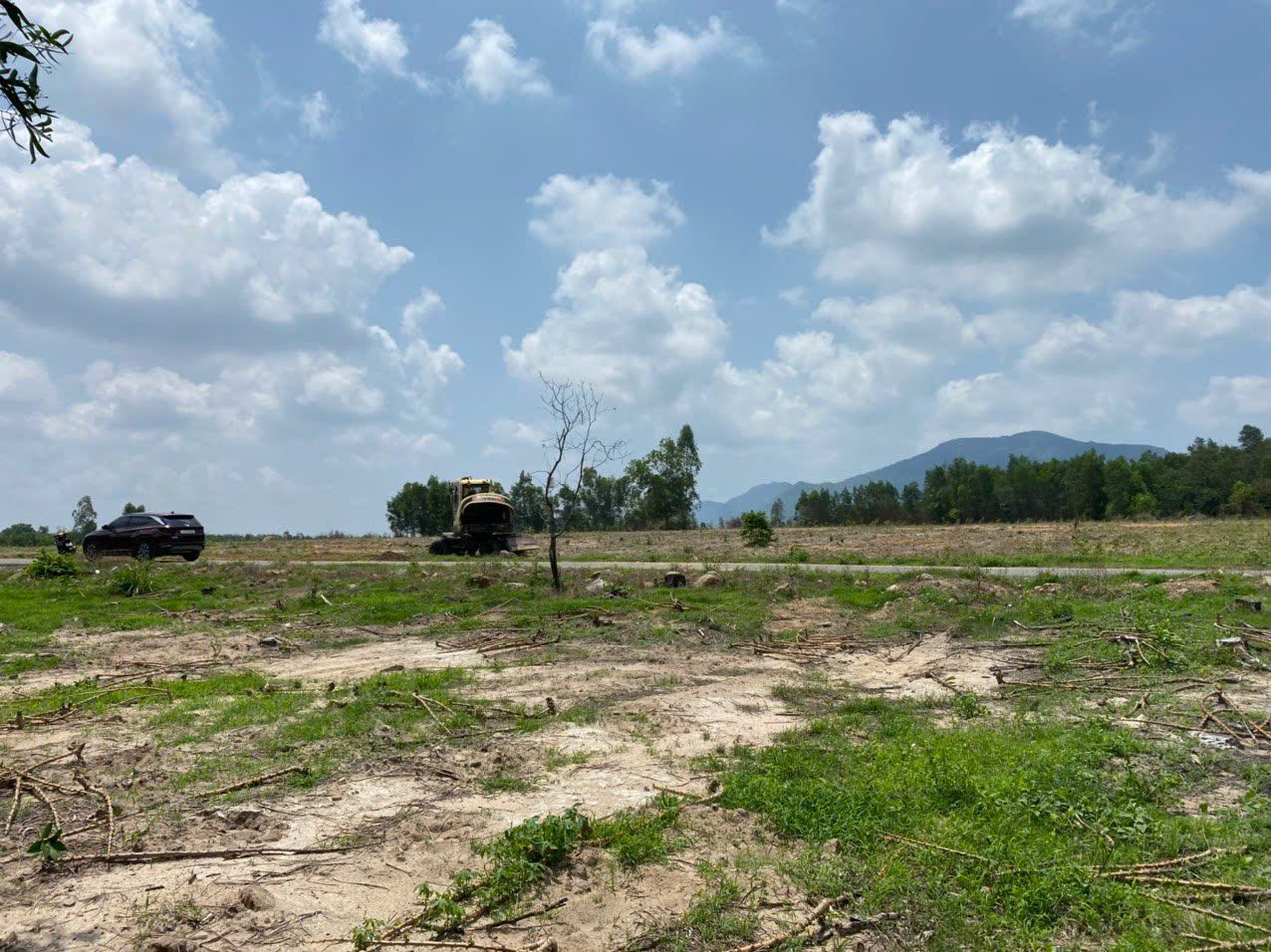 z7329034262043_6b709d955bcebe604d120703182a78c1