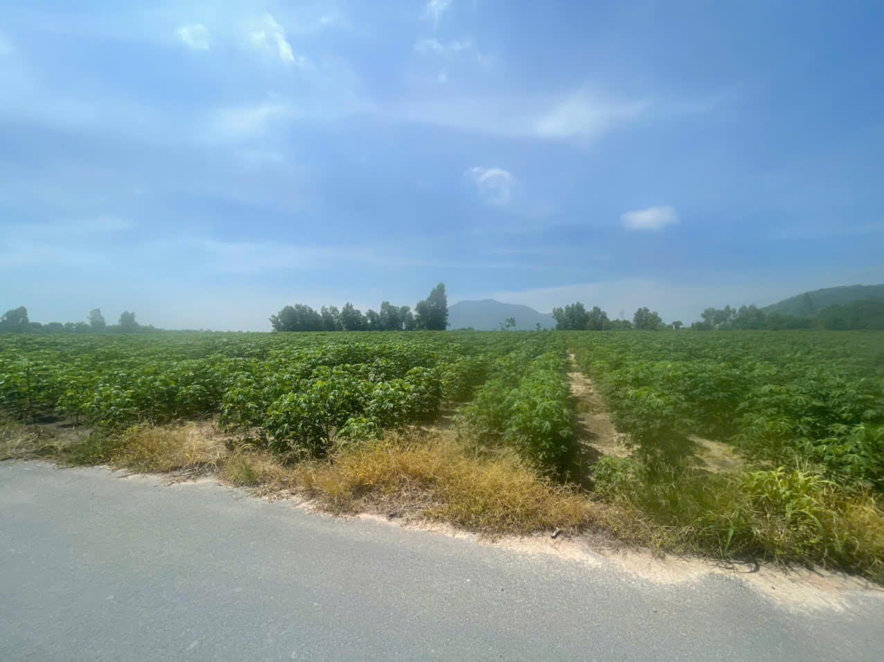 z7329034270989_0b79689c958410349278e5318749c3b1