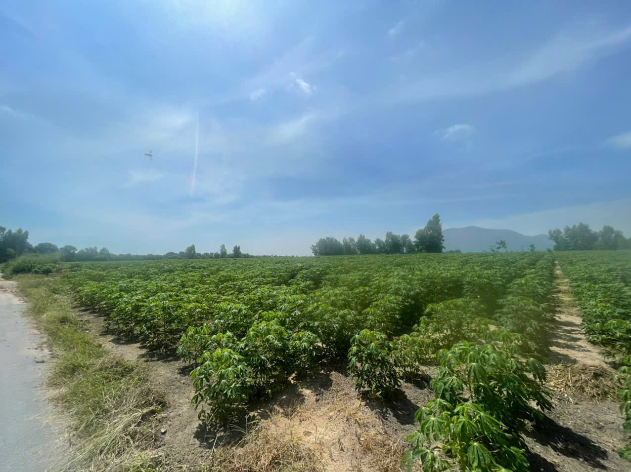 z7329034281086_aaa788bdd918084e95d37843d149a5e2