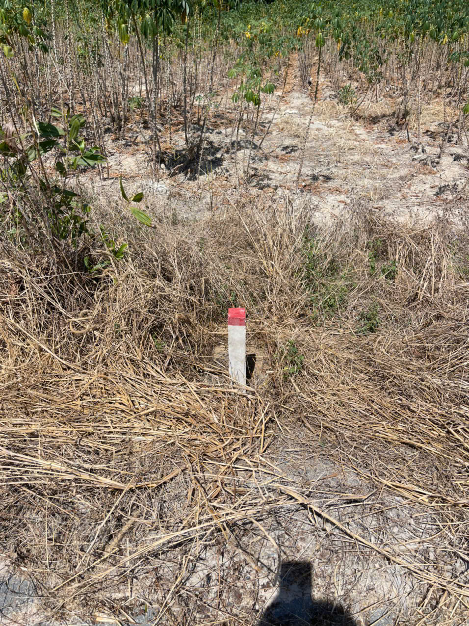 z7329034285761_95f4546a05b6c01cf419710338ea0583