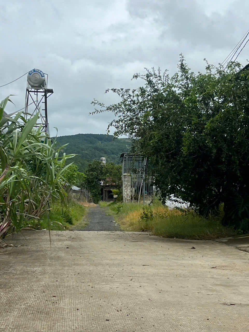 z7329945138267_ad62dd05a7dc37edbca3c2631e2fa4c7