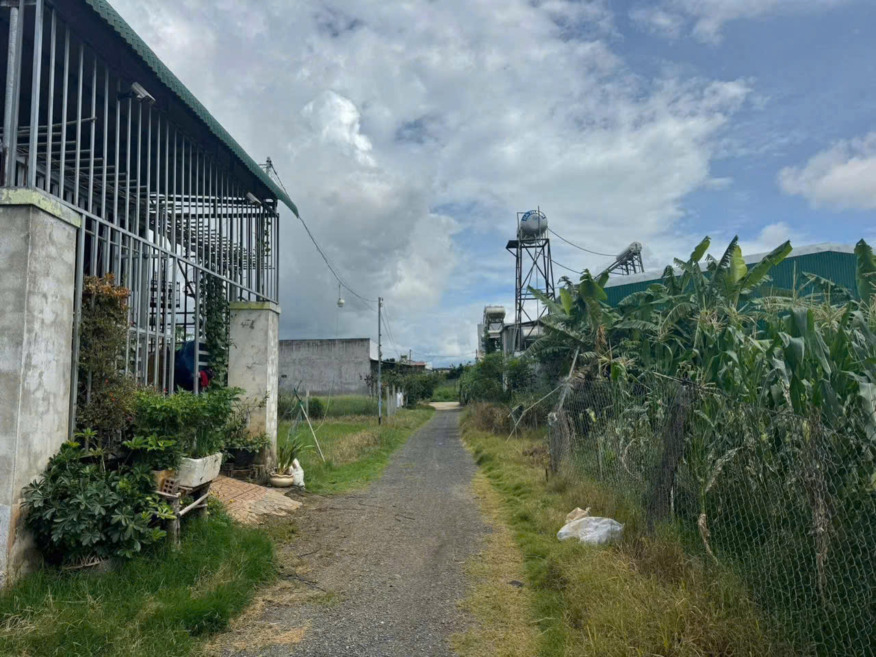 z7329945149503_707024a35c81a1c174afb07d5ebeb35b