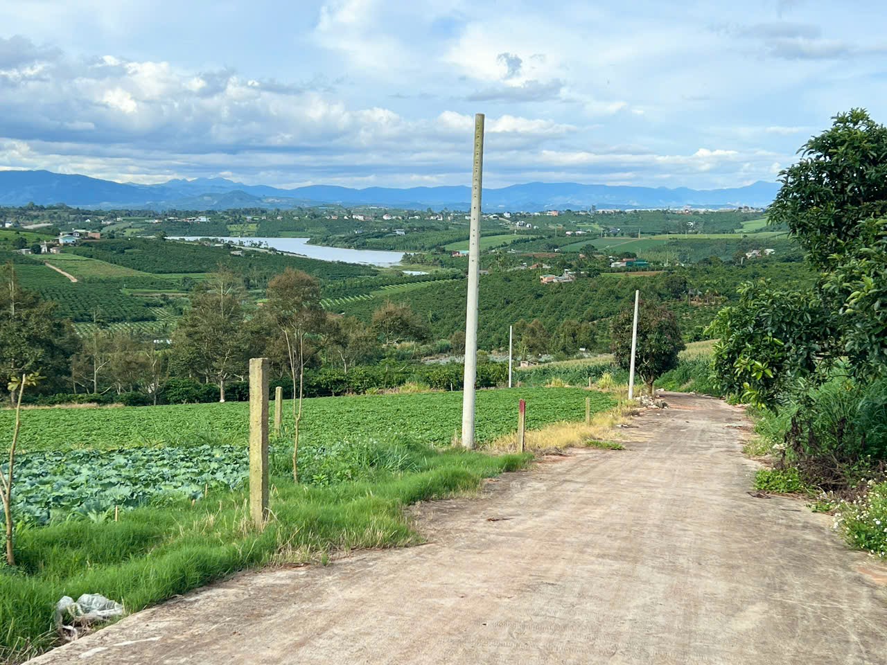 z7331743471876_d9c61e69038d819b7dfd98b2c767e6e5