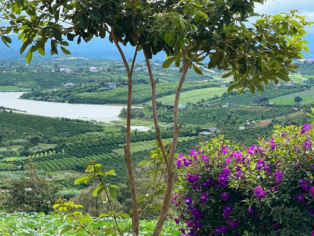 z7331743630989_c1349442cb1d5f77ec46c36ce54a0d68