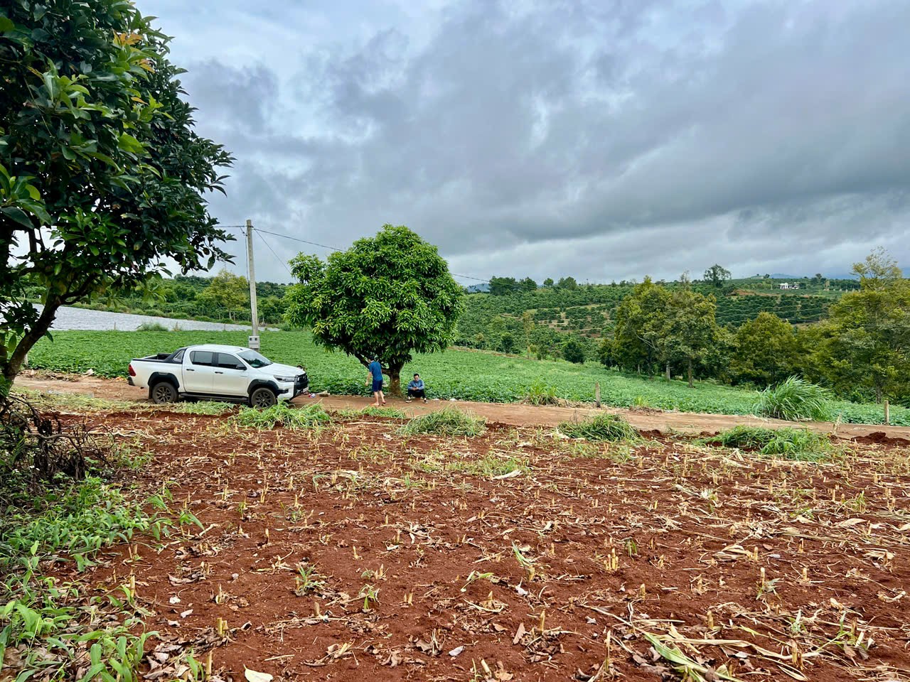 z7331743648148_bbb1f20db8504f9d281fc00a90aa1c98