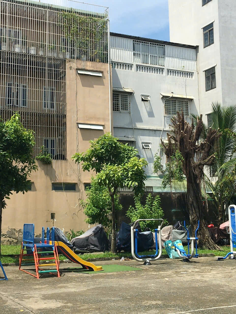 z7332274309464_0ce89b1128130908df1391949dacea2e