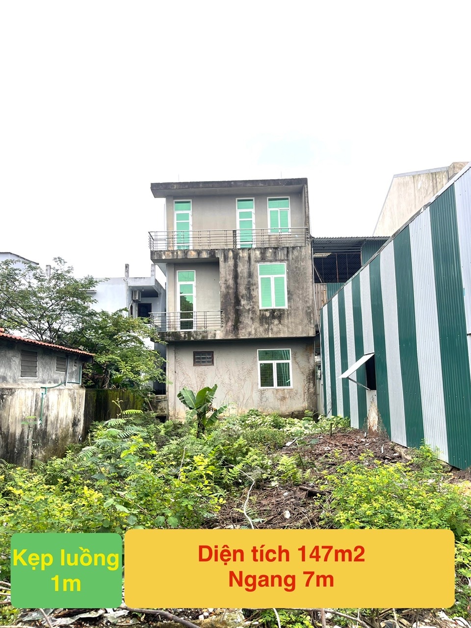 z7332885863107_ce853d43cfe8bd9e10be464290ecedc0