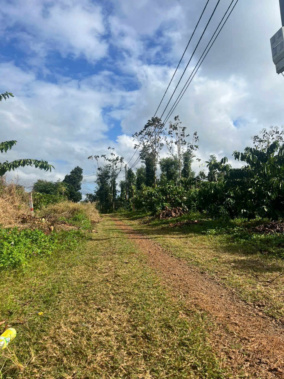 z7334733791268_b93bd103316f3e7f7d4ace5bafd53d10