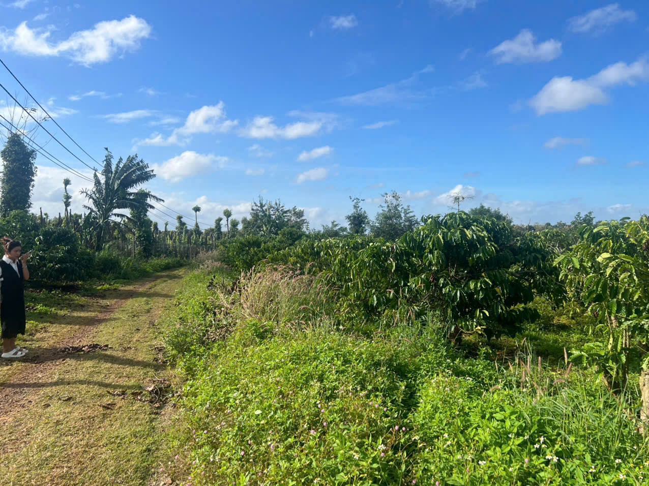 z7334733811394_99a341bcf15e48362201fb6df0b5cb90